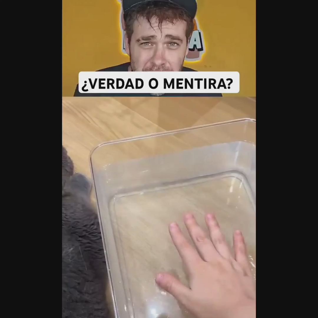 CEPILLO VIRAL PARA MASCOTAS A VAPOR 3 EN 1