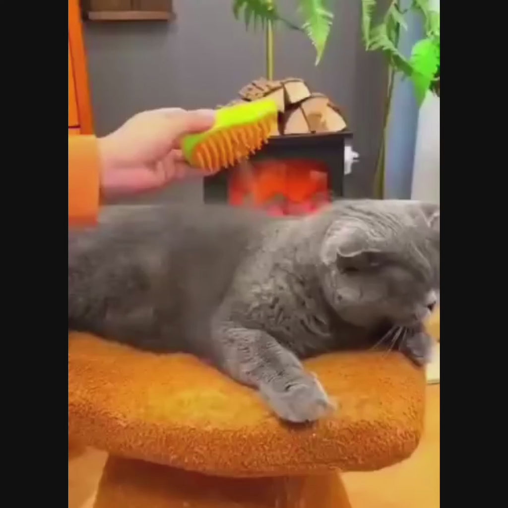 CEPILLO VIRAL PARA MASCOTAS A VAPOR 3 EN 1