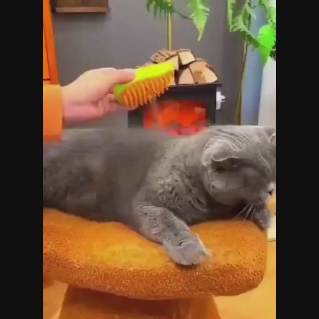 CEPILLO VIRAL PARA MASCOTAS A VAPOR 3 EN 1